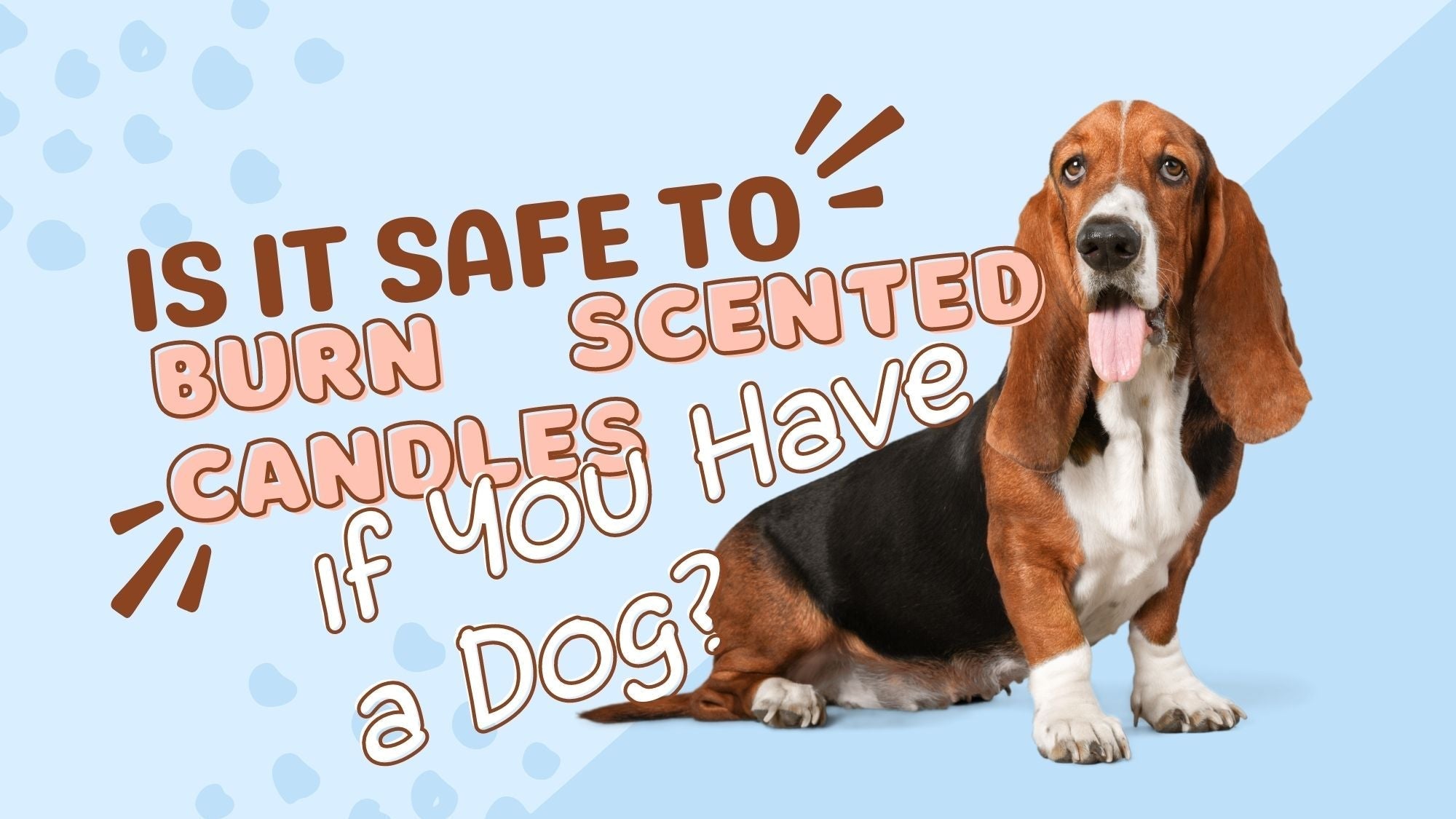 Is it Safe to Burn Scented Candles if You Have a Dog Mcrwaxco